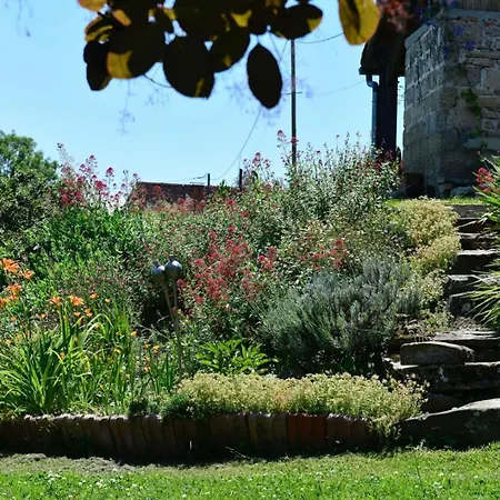 Endrimons Viellesegure