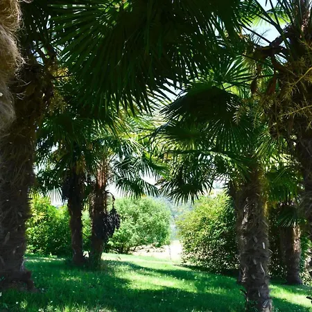 Endrimons Tatil Evi Vielleségure